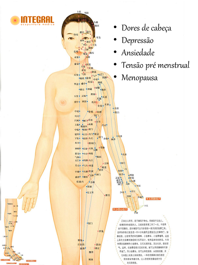 Cor do fluxo menstrual na Medicina Chinesa - Feminino Natural